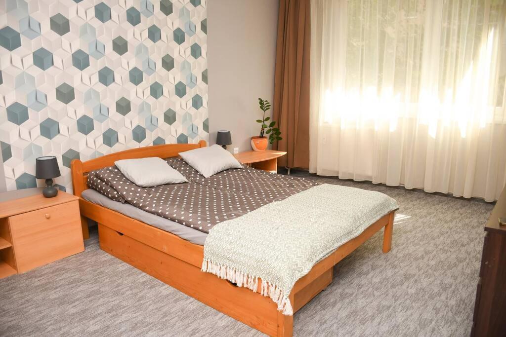Dora Apartman Best Location & Free Parking Debrecen Dış mekan fotoğraf