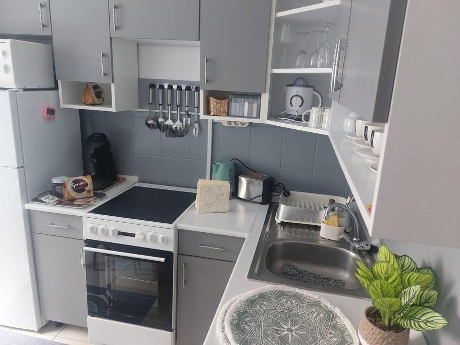 Dora Apartman Best Location & Free Parking Debrecen Dış mekan fotoğraf